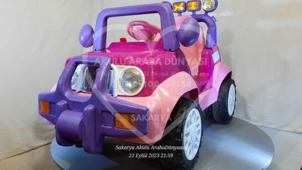 Pilsan Princess 12V 12 Amper Akülü Araba Pembe