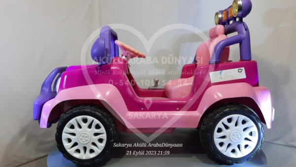 Pilsan Princess 12V 12 Amper Akülü Araba Pembe