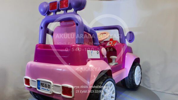 Pilsan Princess 12V 12 Amper Akülü Araba Pembe