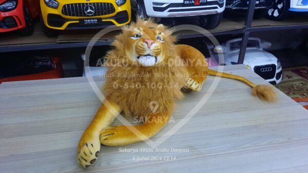 Peluş Oyuncak Çeşitleri Sakarya Akülü Araba Dünyası'nda  - Görsel 3