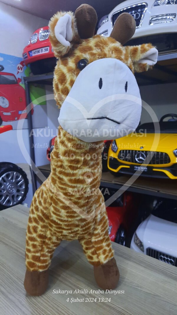 Peluş Oyuncak Çeşitleri Sakarya Akülü Araba Dünyası'nda  - Görsel 5