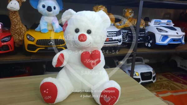 Peluş Oyuncak Çeşitleri Sakarya Akülü Araba Dünyası'nda  - Görsel 11