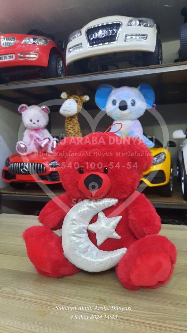 Peluş Oyuncak Çeşitleri Sakarya Akülü Araba Dünyası'nda  - Görsel 19