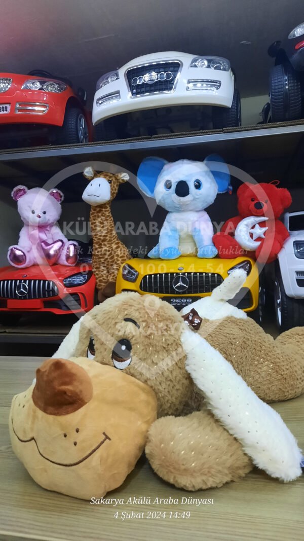 Peluş Oyuncak Çeşitleri Sakarya Akülü Araba Dünyası'nda  - Görsel 20