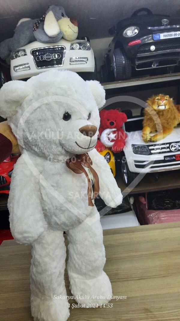 Peluş Oyuncak Çeşitleri Sakarya Akülü Araba Dünyası'nda  - Görsel 21