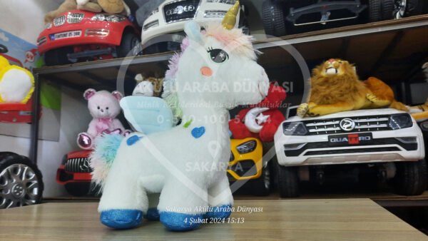 Peluş Oyuncak Çeşitleri Sakarya Akülü Araba Dünyası'nda  - Görsel 23
