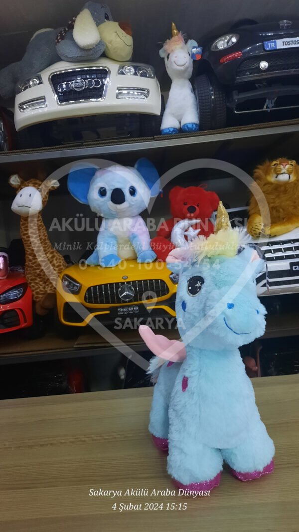 Peluş Oyuncak Çeşitleri Sakarya Akülü Araba Dünyası'nda  - Görsel 25