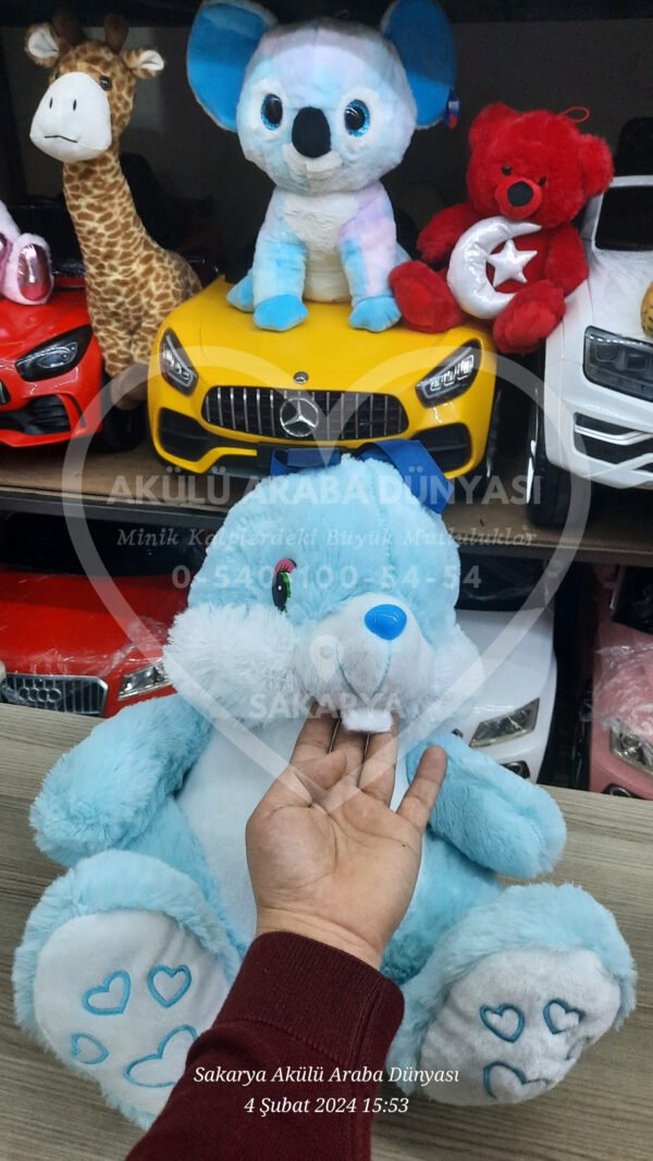 Peluş Oyuncak Çeşitleri Sakarya Akülü Araba Dünyası'nda  - Görsel 41
