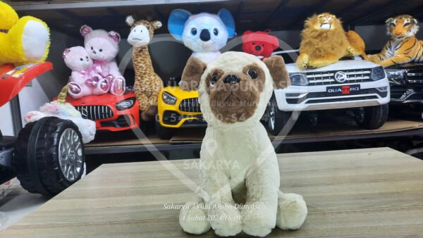 Peluş Oyuncak Çeşitleri Sakarya Akülü Araba Dünyası'nda  - Görsel 2