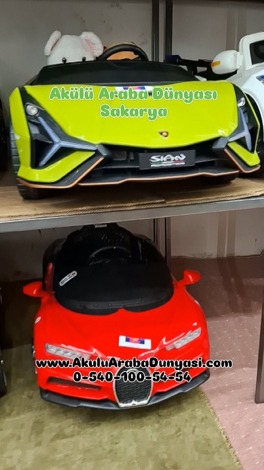 Anasayfa