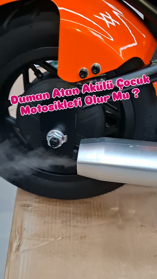 Anasayfa