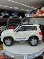 Star Wheels 12V Uzaktan Kumandalı Akülü Araba Pilsan - Görsel 4