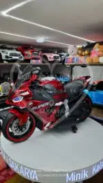 BMW S1000 RR Akülü Motosiklet 24 Volt Mega Boy, Eva Teker - Görsel 3