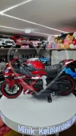 BMW S1000 RR Akülü Motosiklet 24 Volt Mega Boy, Eva Teker - Görsel 4