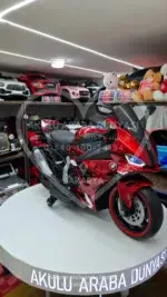 BMW S1000 RR Akülü Motosiklet 24 Volt Mega Boy, Eva Teker - Görsel 9